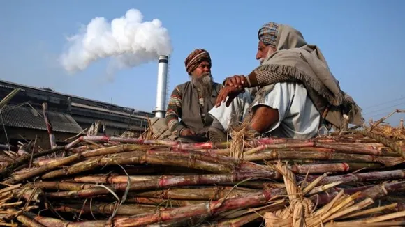 Union Government increases FRP for sugarcane by â¹15 per quintal; Rs 305 per quintal for 2022-23 season