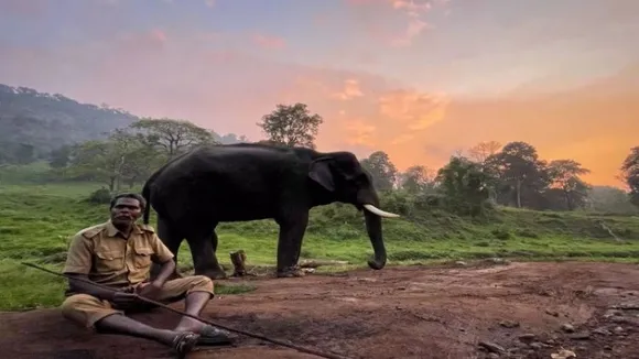 Elephant kills tourism dept staff while he had gone to attend the nature's call