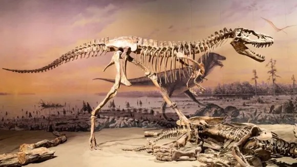 Dinosaurs were in decline even before extinction, study finds