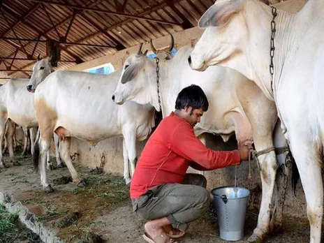Prices of dairy products likely to remain firm on higher demand