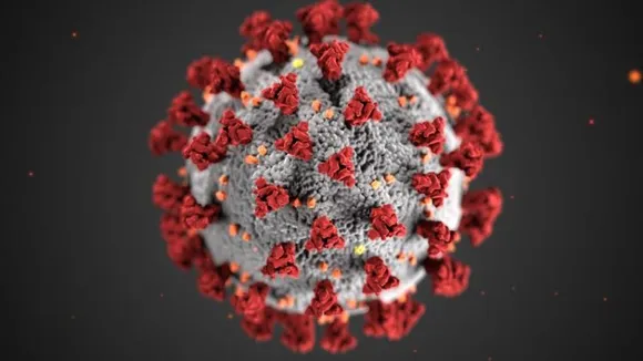 India logged 10,725 new coroanvirus infections; with 36 fatalities