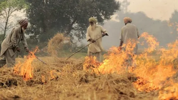 First major litmus test for Bhagwant Mann govt as stubble burning season approachesÂ 