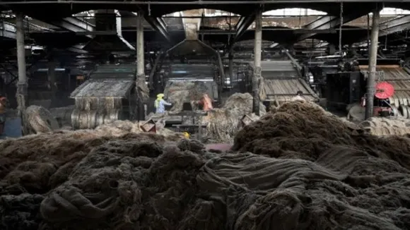 Govt hikes raw jute MSP by Rs 300 to Rs 5,050 per quintal