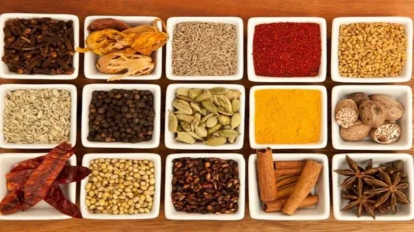 Emami launches spices products across India, aims Rs 700-1000 cr sales in next 3-5 yrs