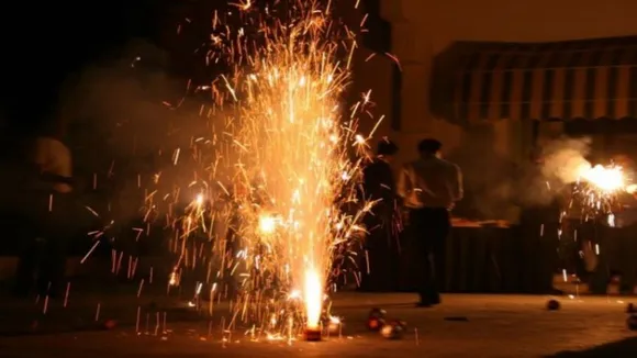 Delhi govt bans production, sale, use of firecrackers till Jan 1, 2023