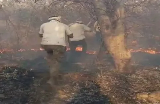 Fire breaks out at Sariska Tiger Reserve in Rajasthan's Alwar