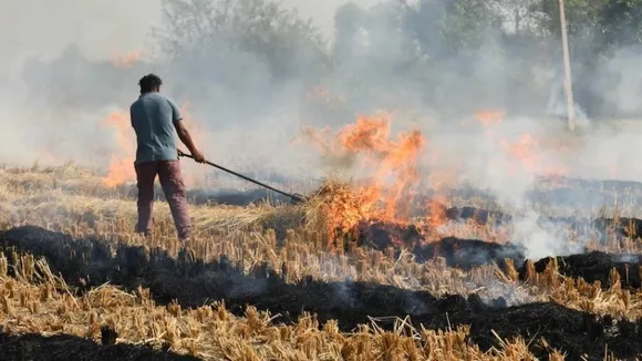 Will AAP's plan to incentivise Punjab farmers to stop stubble burning work?