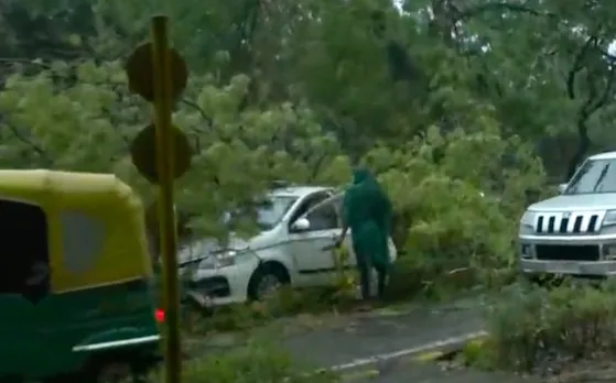 Tree falls on a car in Delhi; occupants unhurt