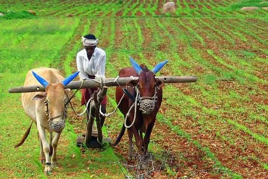 IIM-A, SFarmsIndia launch agri land price index