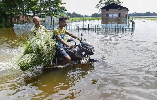 Assam flood situation grim over 55 lakh hit; with 12 fresh deaths, death toll at 101