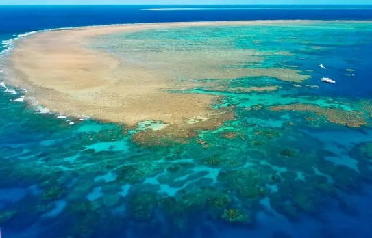 Is the Great Barrier Reef reviving – or dying? Here’s what’s happening