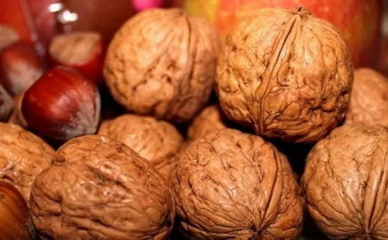 Eating walnuts may keep age-related issues at bay