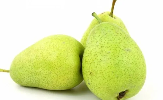 Eating fresh pear regularly may improve BP, heart function