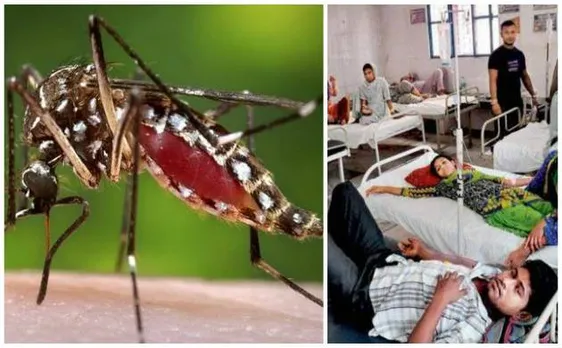 Chikungunya-Dengue outbreak with 2200 cases in Delhi: Death toll rises to 5; political parties busy in blame game