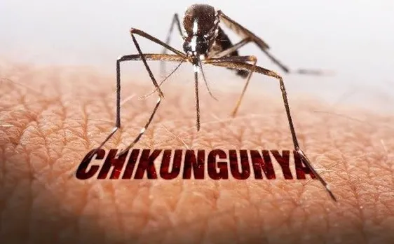 Old man dies of Chikungunya in South Delhi, toll rises to 12