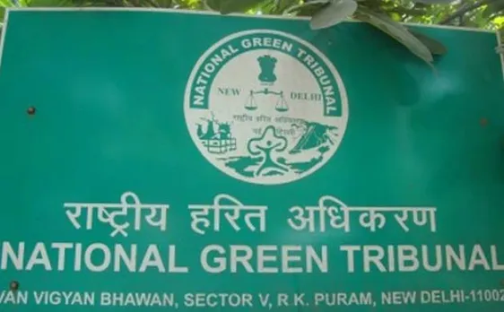 NGT slams civic bodies for not taking any strong measure to control chikungunya and dengue