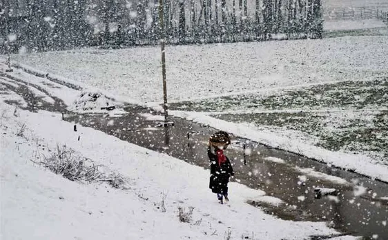 Cold wave sweeps north India, Delhi shivers at 3.4 degree celsius