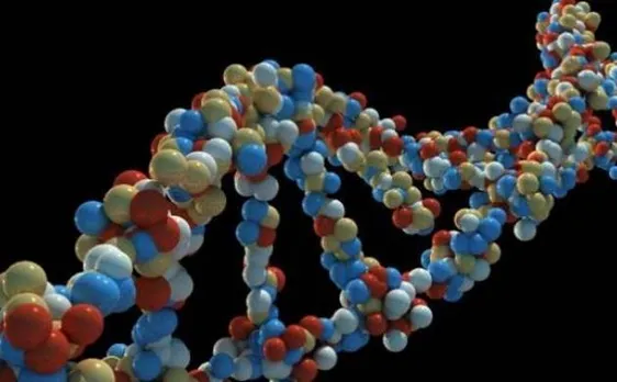 Damaged DNA! New Vitamin may help in reverse ageing, fight cancer and help in space travel