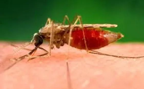 WHO new policy: World Health Organisation launches guidance on malaria elimination