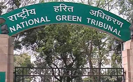 Civic bodies deal with dengue, chikungunya as mere formality: NGT