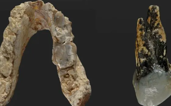 Study of 7.2 million-year-old pre-human fossil suggests humans originated in Europe not Africa