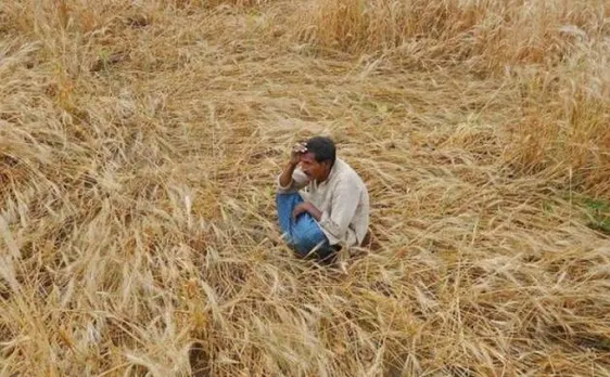 MP: One more farmer commits suicide, total toll reaches 12 in 10 days