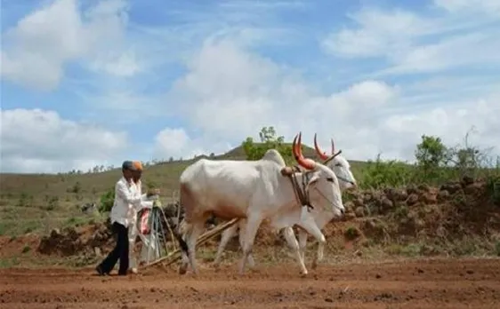 36 Lakh Maharashtra famers to get complete loan waiver: Devendra Fadnavis