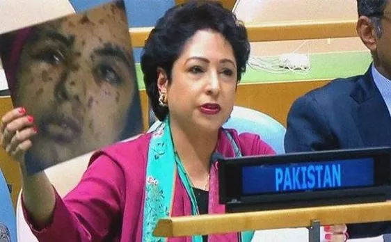 Following Pakistanâ€™s photo gaffe, UNGA president hints at strong checks