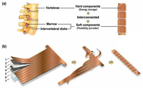 Now get flexible lithium ion battery like human spine