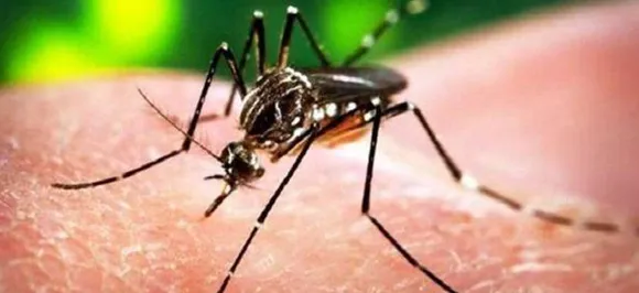 Dengue cases in Delhi rise to 12: Doâ€™s and Donâ€™ts