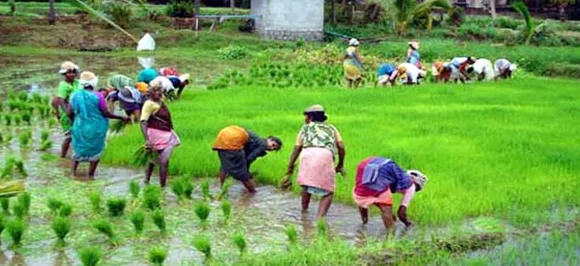 In a bid to woo farmers, Centre increases MSP of paddy by Rs. 200 per quintal