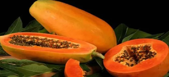 Why you should not eat papaya