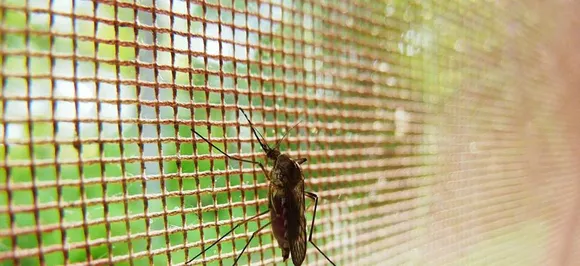 Drug-laced mosquito net may help prevent malaria