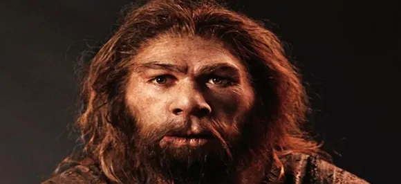 Climate change, Ice cold temperatures behind extinction of Neanderthals