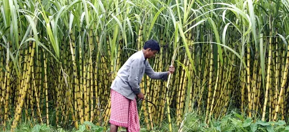 Cabinet okays Rs 4,500-crore package to sugar industry