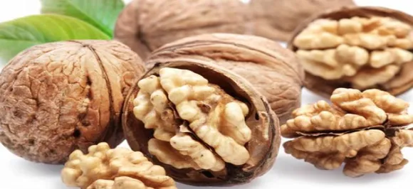 Diet Food: Eating walnuts may not lead to weight gain and obesity