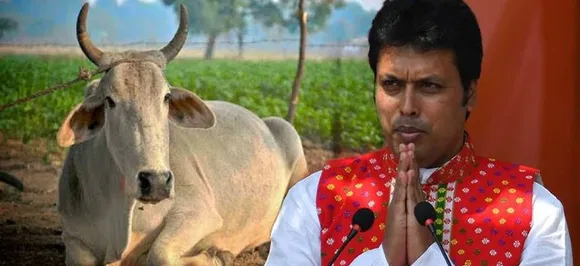 Tripura government to give 10,000 cows to farmers; CM Biplab Deb says he will rear cow at residence