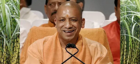 Wrong to divide Gods into castes: Uttar Pradesh minister hits out at CM Yogi Adityanath