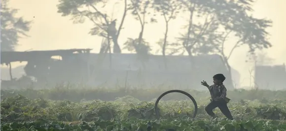 Delhi's air quality turns severe due to adverse meteorological conditions