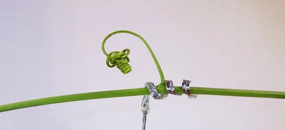 Novel soft robot can curl and climb like plant tendrils, say scientists