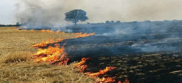 India loses $30 billion annually due to air pollution from stubble burning 