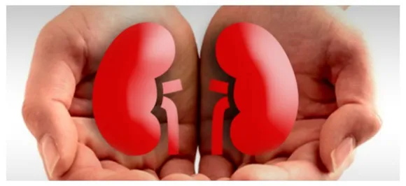 World Kidney Day 2019: Avoid these food items if you have kidney problem