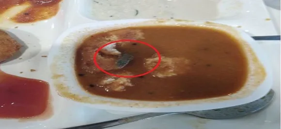 'Dead lizard' found in food at Haldiram's in Nagpur, FDA cracks whip