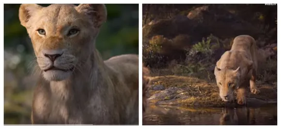 WATCH | New 'The Lion King' clip featuring BeyoncÃ© as Nala is giving Internet all the feels