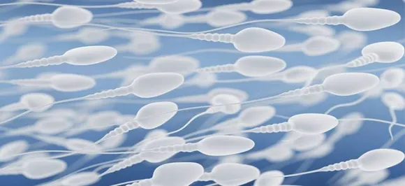 Frozen sperm retains viability in outer space conditions: Study