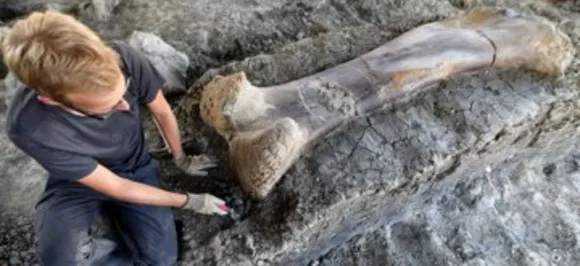 OMG! Massive Dinosaur bone found in France: Details inside 