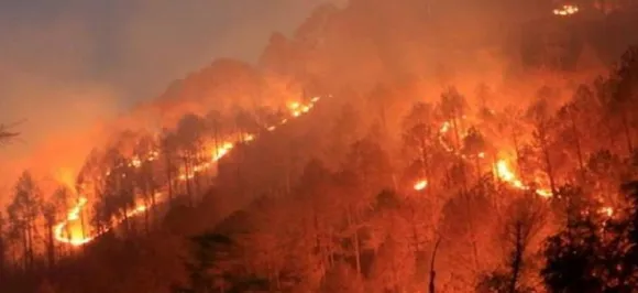 Satellites identified 38,900 forest fire incidents last year: Space Department