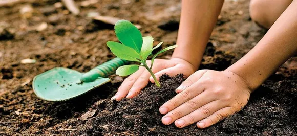 Uttar Pradesh government sets world record by planting over 22 crore saplings in one day