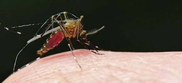 Possible to eradicate malaria, but probably not soon: United Nations 