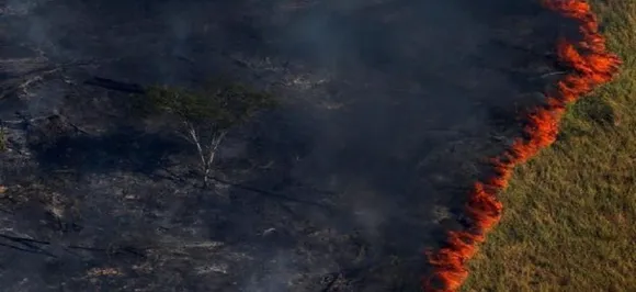 Brazil's Jair Bolsonaro causes global outrage over Amazon fires